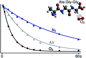 Graphical abstract: Experimental evidence for the role of paramagnetic oxygen concentration on the decay of long-lived nuclear spin order