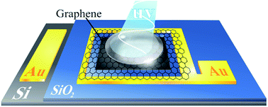 Graphical abstract: A graphene/Si Schottky diode for the highly sensitive detection of protein