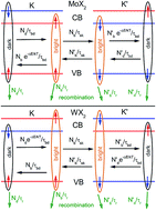 Graphical abstract: Retracted Article: Physics of excitons and their transport in two dimensional transition metal dichalcogenide semiconductors