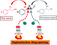 Graphical abstract: Highly α-position regioselective ring-opening of epoxides catalyzed by halohydrin dehalogenase from Ilumatobacter coccineus: a biocatalytic approach to 2-azido-2-aryl-1-ols