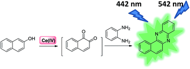 Graphical abstract: A cascade reaction-based switch-on fluorescent sensor for Ce(iv) ions in real samples