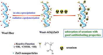 Graphical abstract: Preparation of ZnO nanoparticle loaded amidoximated wool fibers as a promising antibiofouling adsorbent for uranium(vi) recovery