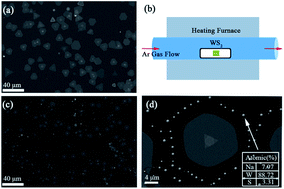 Graphical abstract: The deviations of evaporation modes in two different morphologies of 2D WS2 film