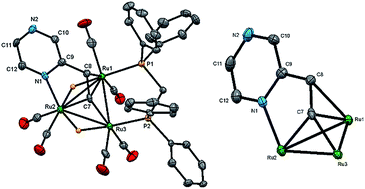 Graphical abstract: New molecular architectures containing low-valent cluster centres with di- and trimetalated 2-vinylpyrazine ligands: synthesis and molecular structures of Ru5(CO)15(μ5-C4H2N2CH [[double bond, length as m-dash]] CH)(μ-H)2 and Ru8(CO)24(μ7-C4H2N2CH [[double bond, length as m-dash]] C)(μ-H)3