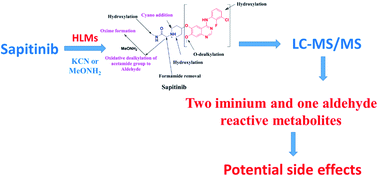 Graphical abstract: Sapitinib: reactive intermediates and bioactivation pathways characterized by LC-MS/MS