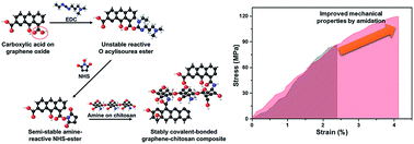 Graphical abstract: A facile route to mechanically robust graphene oxide fibers