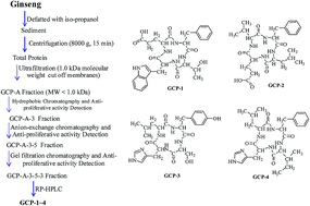 Graphical abstract: Retracted Article: Structural characterization of ginseng cyclopeptides and detection of capability to induce apoptosis in gastrointestinal cancer cells