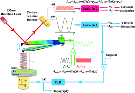 Graphical abstract: Different directional energy dissipation of heterogeneous polymers in bimodal atomic force microscopy