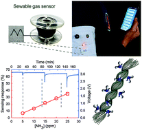 Graphical abstract: Highly sensitive polyaniline-coated fiber gas sensors for real-time monitoring of ammonia gas