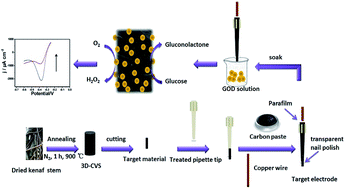 Graphical abstract: Nitrogen-containing three-dimensional biomass porous carbon materials as an efficient enzymatic biosensing platform for glucose sensing