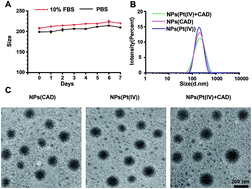 Graphical abstract: pH/redox sensitive nanoparticles with platinum(iv) prodrugs and doxorubicin enhance chemotherapy in ovarian cancer