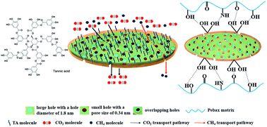 Graphical abstract: Introducing hydrophilic ultra-thin ZIF-L into mixed matrix membranes for CO2/CH4 separation