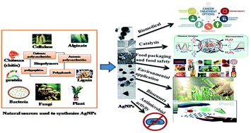 Graphical abstract: Facile green synthesis and applications of silver nanoparticles: a state-of-the-art review