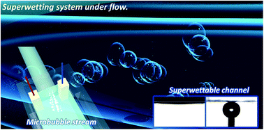 Graphical abstract: Microbubble flows in superwettable fluidic channels