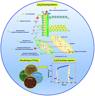 Graphical abstract: Development of an acetone sensor using nanostructured Co3O4 thin films for exhaled breath analysis