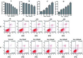 Graphical abstract: Homocysteine induces human mesangial cell apoptosis via the involvement of autophagy and endoplasmic reticulum stress