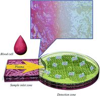 Graphical abstract: Paper-based microfluidic devices based on 3D network polymer hydrogel for the determination of glucose in human whole blood