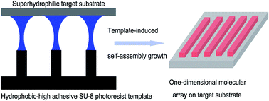 Graphical abstract: Capillary liquid bridge soft lithography for micro-patterning preparation based on SU-8 photoresist templates with special wettability