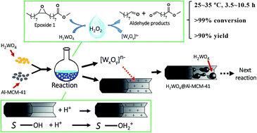 Graphical abstract: Room-temperature production of bio-based aldehydes from vegetable oil-derived epoxide via H2WO4@Al-MCM-41 as recyclable catalyst