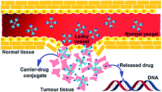 Graphical abstract: Clinical developments of antitumor polymer therapeutics