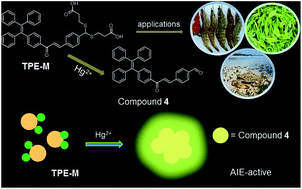 Graphical abstract: An aggregation-induced emission-based fluorescence turn-on probe for Hg2+ and its application to detect Hg2+ in food samples