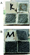 Graphical abstract: A study on the properties and working mechanism of a waterborne polyurethane-modified silicate-based coating