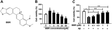 Graphical abstract: Retracted Article: Berberine alleviates amyloid beta-induced injury in Alzheimer's disease by miR-107/ZNF217