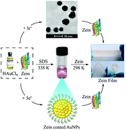 Graphical abstract: Zein film functionalized with gold nanoparticles and the factors affecting its mechanical properties