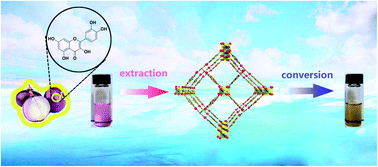 Graphical abstract: A neutral Cu-based MOF for effective quercetin extraction and conversion from natural onion juice