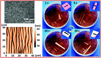 Graphical abstract: Anisotropic nanocomposite films of hydroxypropylcellulose and graphene oxide with multi-responsiveness