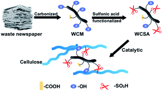 Graphical abstract: Sulfonic-acid-functionalized carbon fiber from waste newspaper as a recyclable carbon based solid acid catalyst for the hydrolysis of cellulose