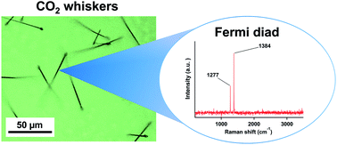 Graphical abstract: Growth of carbon dioxide whiskers