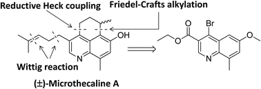 Graphical abstract: Total synthesis of the plant alkaloid racemic microthecaline A: first example of a natural product bearing a tricyclic quinoline-serrulatane scaffold