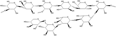 Graphical abstract: The polysaccharides from Grifola frondosa attenuate CCl4-induced hepatic fibrosis in rats via the TGF-β/Smad signaling pathway