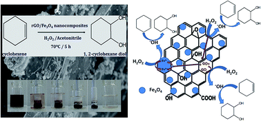 Graphical abstract: Magnetically separable and reusable rGO/Fe3O4 nanocomposites for the selective liquid phase oxidation of cyclohexene to 1,2-cyclohexane diol