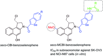 Graphical abstract: Synthesis and biological evaluation of potent benzoselenophene and heteroaromatic analogues of (S)-1-(chloromethyl)-8-methoxy-2,3-dihydro-1H-benzo[e]indol-5-ol (seco-MCBI)