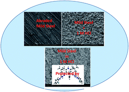 Graphical abstract: Acridine-based thiosemicarbazones as novel inhibitors of mild steel corrosion in 1 M HCl: synthesis, electrochemical, DFT and Monte Carlo simulation studies