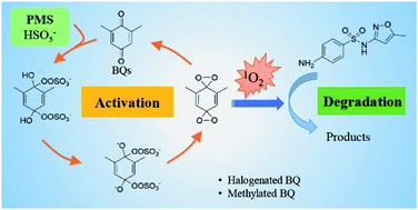 Graphical abstract: Activating peroxymonosulfate by halogenated and methylated quinones: performance and mechanism