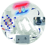 Graphical abstract: High efficiency Mg2(Si,Sn)-based thermoelectric materials: scale-up synthesis, functional homogeneity, and thermal stability