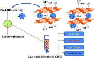 Graphical abstract: Phosphorus removal and mechanisms by Zn-layered double hydroxide (Zn-LDHs)-modified zeolite substrates in a constructed rapid infiltration system