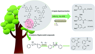 Graphical abstract: Activating molecular oxygen with Au/CeO2 for the conversion of lignin model compounds and organosolv lignin