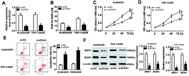 Graphical abstract: Long noncoding RNA ZFAS1 enhances adriamycin resistance in pediatric acute myeloid leukemia through the miR-195/Myb axis