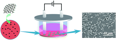 Graphical abstract: A study on graphene composites for peripheral nerve injury repair under electrical stimulation