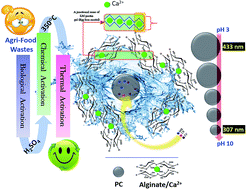 Graphical abstract: Core–shell architecture based on bio-sourced porous carbon: the shape formation mechanism at the solid/liquid interface layer