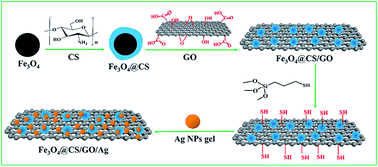 Graphical abstract: Design of GO–Ag-functionalized Fe3O4@CS composite for magnetic adsorption of rhodamine B