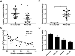 Graphical abstract: Retracted Article: Long noncoding RNA ANRIL protects cardiomyocytes against hypoxia/reoxygenation injury by sponging miR-195-5p and upregulating Bcl-2