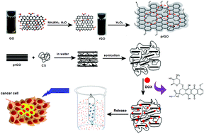 Graphical abstract: A porous reduced graphene oxide/chitosan-based nanocarrier as a delivery system of doxorubicin