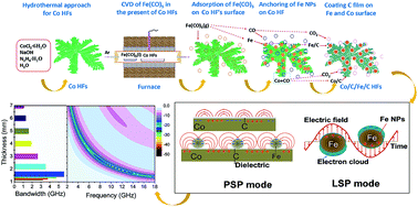 Graphical abstract: Distinct plasmon resonance enhanced microwave absorption of strawberry-like Co/C/Fe/C core–shell hierarchical flowers via engineering the diameter and interparticle spacing of Fe/C nanoparticles