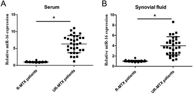 Graphical abstract: Inhibition of miR-16 enhances the sensitivity of fibroblast-like synovial cells to methotrexate by restraining MDR1/P-gp expression via NF-κB pathway