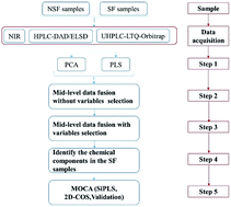 Graphical abstract: A proposed protocol based on integrative metabonomics analysis for the rapid detection and mechanistic understanding of sulfur fumigation of Chinese herbal medicines